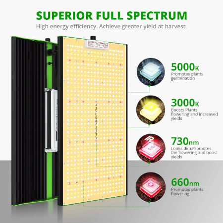 Viparspectra Viparspectra P2000 Viparspectra Viparspectra P2000