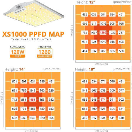 Viparspectra Viparspectra XS 1000