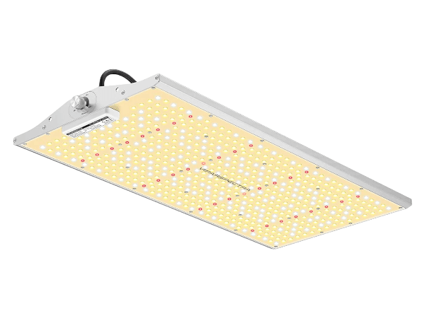Viparspectra Viparspectra XS 2000