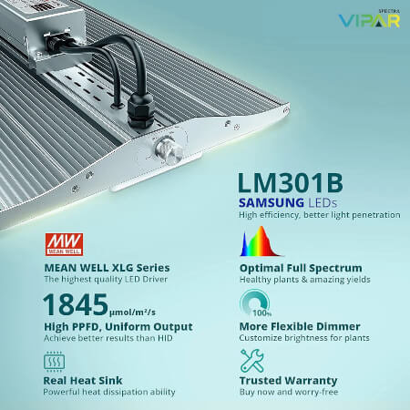 Viparspectra Viparspectra XS 2000