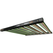 Dimlux DimLux Xtreme 1000W