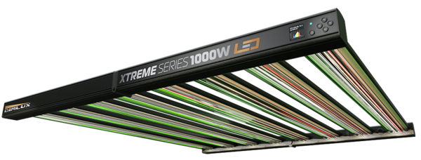 Dimlux DimLux Xtreme Series 1000W