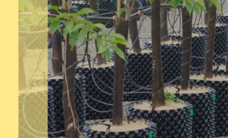 Wortelpotten voor optimale wortelgroei