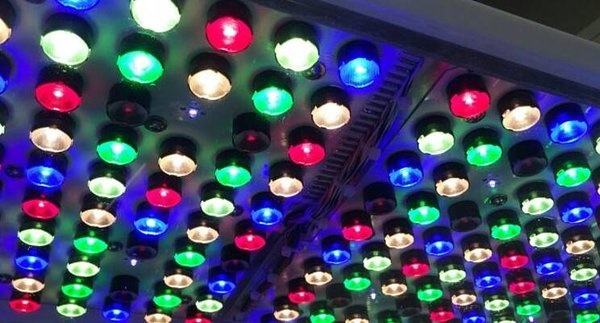 Het lichtspectrum van een kweeklamp