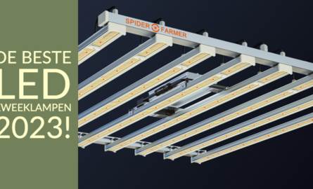 De beste LED kweeklampen 2023