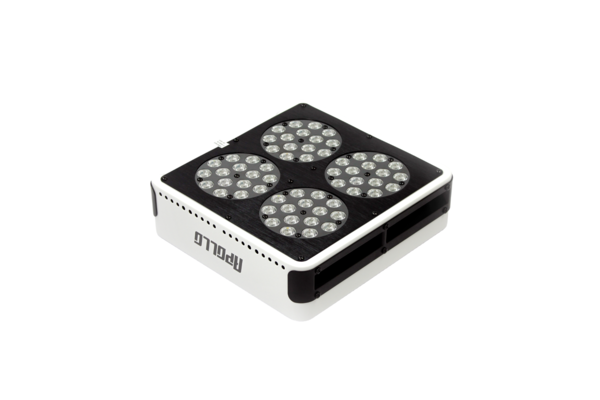 Apollo Apollo 4 LED Kweeklamp