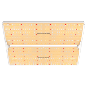 Spider Farmer SF4000