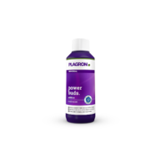 Plagron Plagron Power Buds 100ml