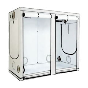 Homebox Ambient R240+