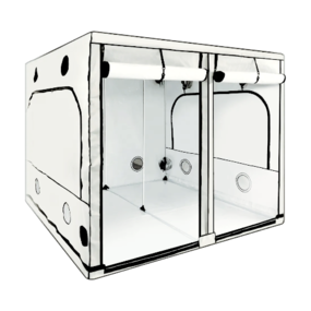 Homebox Ambient Q300+