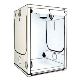 Homebox Ambient Q150+