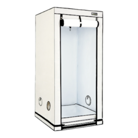 Homebox Ambient Q80+