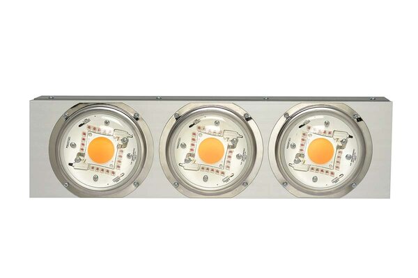 Spectro Light Spectro Light Blast 500 Limited Edition