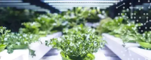 Bekijk alle LED Kweeklampen