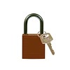 Brady Nylon compact safety padlock brown 814120