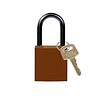 Brady Nylon compact safety padlock brown 814130