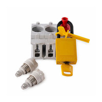 Insulation plugs with padlock facility for bottle fuses