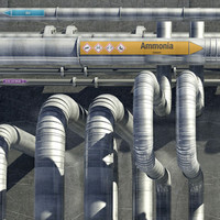 Pipe markers: Ammoniak 99 % | German | Alkalis