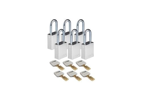 SafeKey aluminium veiligheidshangslot zilver 6-pack 150278 