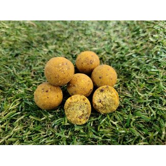 swiftboilies scopex 10 kg  15 mm