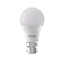 Lampadine B22