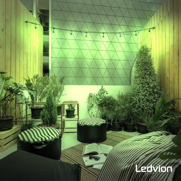 Ledvion 5-pack Lampadina LED E27 Filamento - 1W - 2100K - 50 Lumen - Colorato