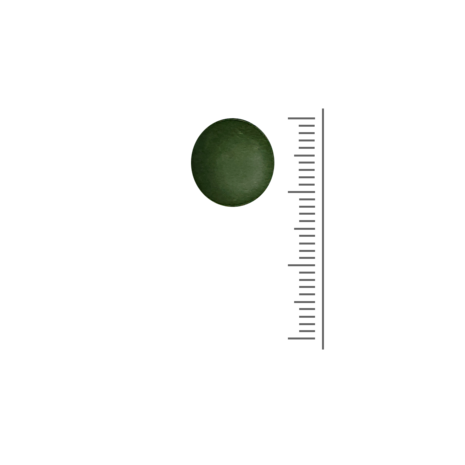 Chlorella 500 tabs - 180 tabletten Chlorella 500 tabs - 180 tabletten