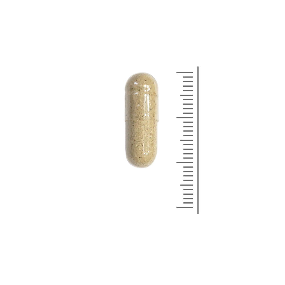 Weerstand Formule - 90 capsules Weerstand Formule - 90 capsules