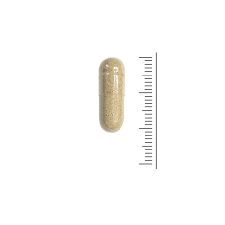 Weerstand Formule - 90 capsules Weerstand Formule - 90 capsules