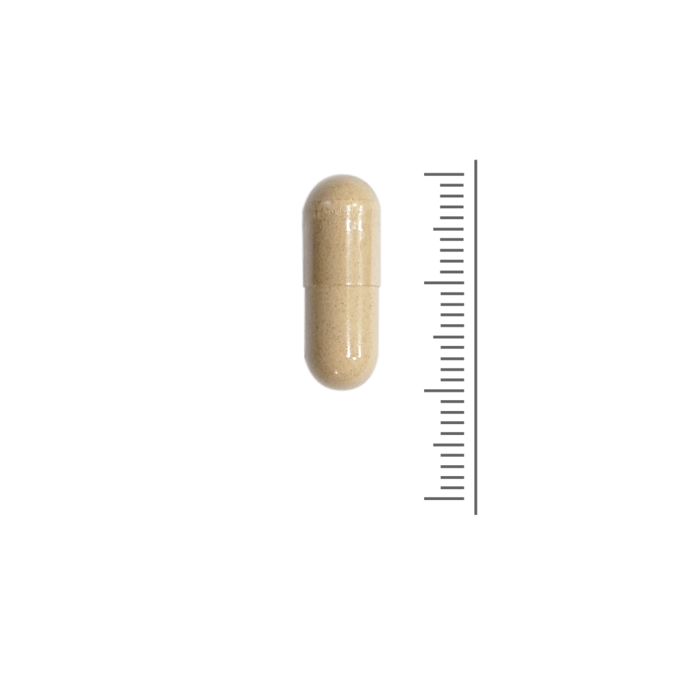 Maca 500 mg - 90 Vcaps Maca 500 mg - 90 Vcaps