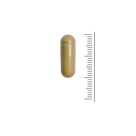 Bio bijenpollen - 90 Vcaps Bio bijenpollen - 90 Vcaps