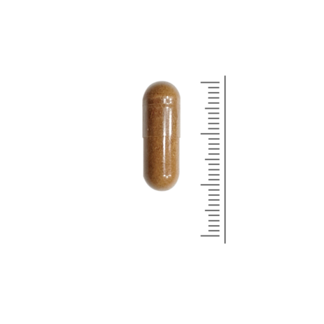 Natuurlijke vetverbrander - 90 Vcaps Natuurlijke vetverbrander - 90 Vcaps
