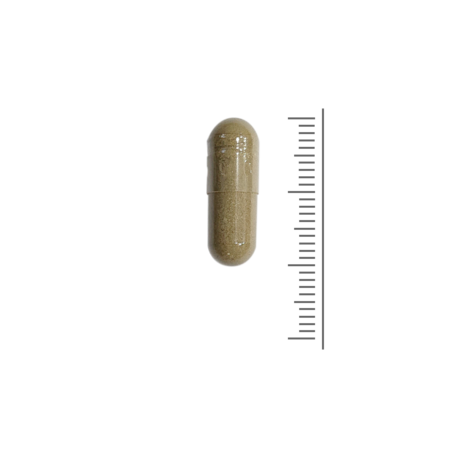 Weight Support - 90 Caps