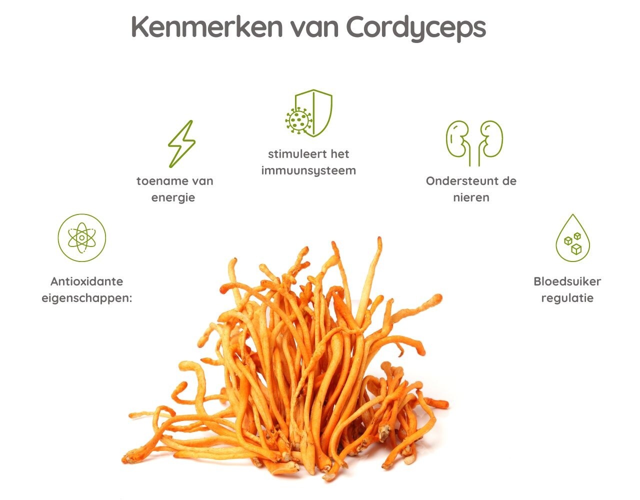 Cordyceps High Energy - 60 Vcaps Cordyceps High Energy - 60 Vcaps