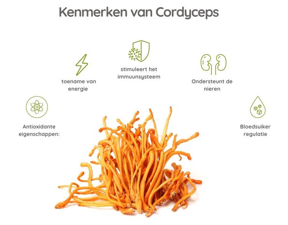 Cordyceps High Energy - 60 Vcaps Cordyceps High Energy - 60 Vcaps