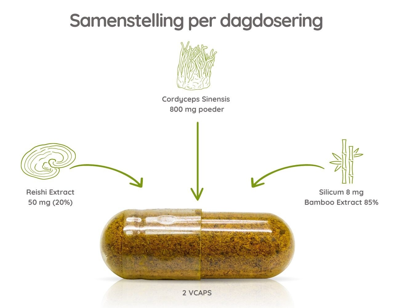 Cordyceps High Energy - 60 Vcaps Cordyceps High Energy - 60 Vcaps