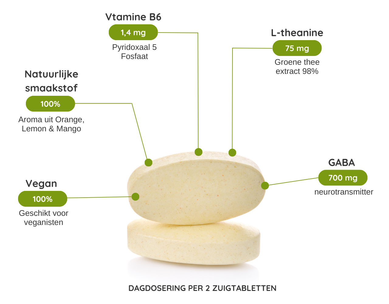 GABA & L-THEANINE - 60 zuigtabletten GABA & L-THEANINE - 60 zuigtabletten