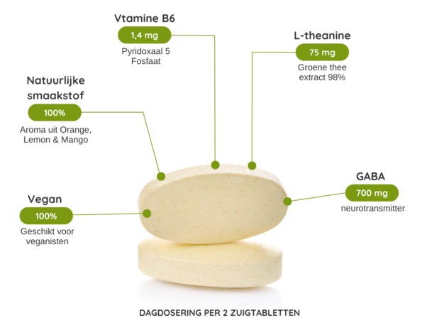 GABA & L-THEANINE - 60 zuigtabletten GABA & L-THEANINE - 60 zuigtabletten