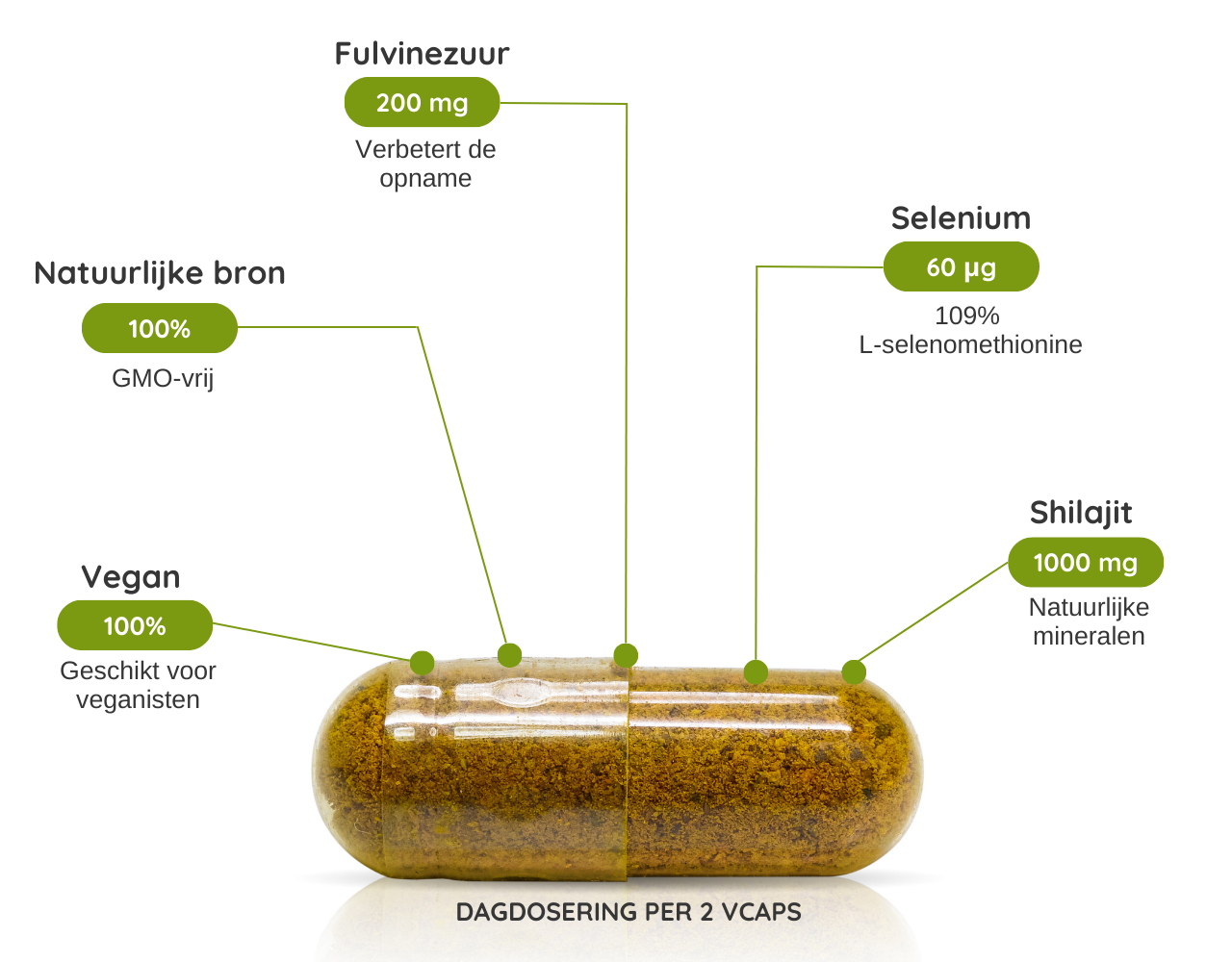 Shilajit Premium + Selenium - 60 Vcaps