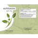 Over ons merk – Jouw partner in natuurlijke gezondheid. Echinacea - 60 Vcaps Over ons merk – Jouw partner in natuurlijke gezondheid. Echinacea - 60 Vcaps