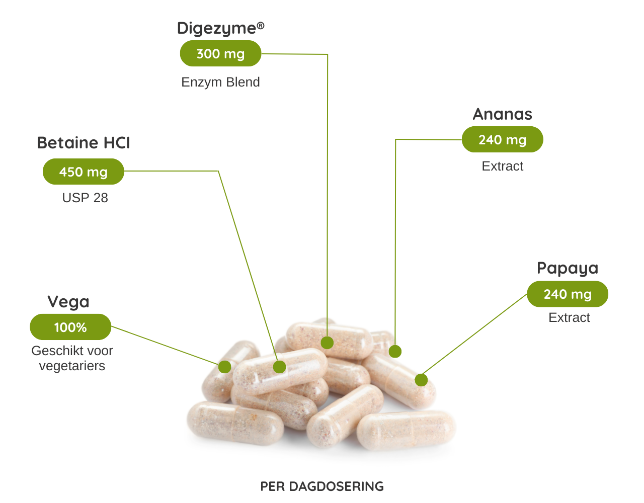 Nutrizym verrijkt met Papaya  - 180  Vcaps Nutrizym verrijkt met Papaya  - 180  Vcaps