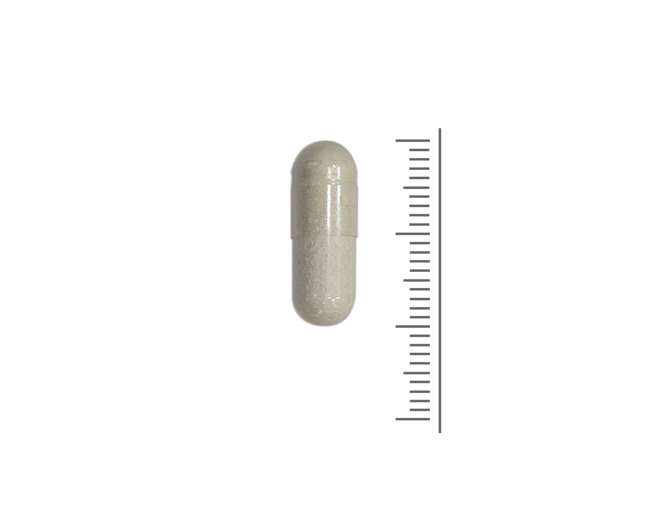 Nutrizym verrijkt met Papaya  - 180  Vcaps Nutrizym verrijkt met Papaya  - 180  Vcaps