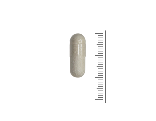 Nutrizym verrijkt met Papaya  - 180  Vcaps Nutrizym verrijkt met Papaya  - 180  Vcaps
