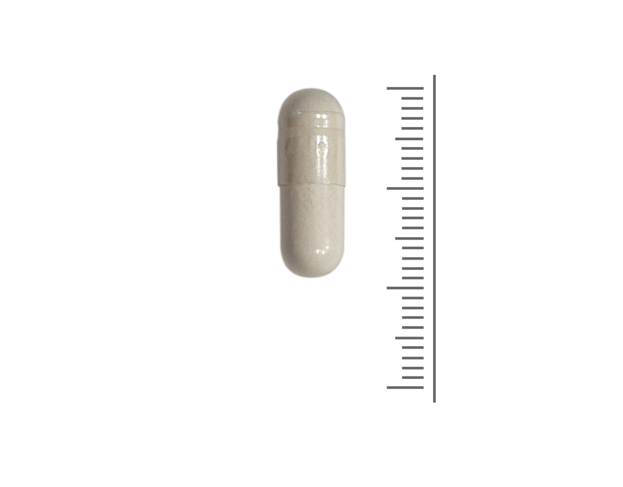 Resveratrol Optima - 60 Vcaps Resveratrol Optima - 60 Vcaps