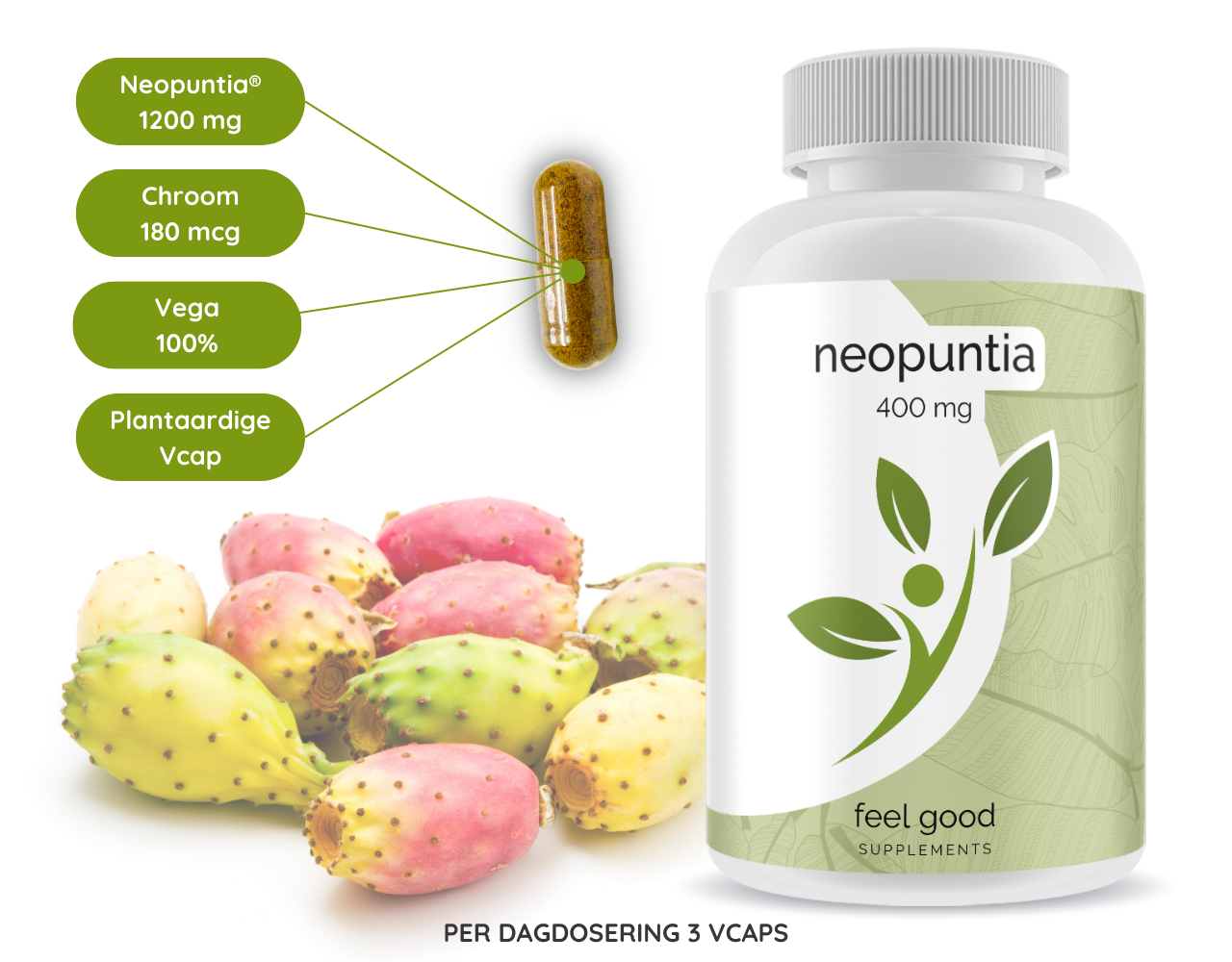 Neopuntia®  Cactus extract - 90 Vcaps Neopuntia®  Cactus extract - 90 Vcaps