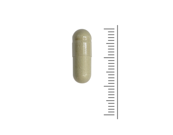 Neopuntia®  Cactus extract - 90 Vcaps Neopuntia®  Cactus extract - 90 Vcaps