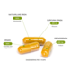 Over ons merk – Jouw partner in natuurlijke gezondheid. Curcuma & Orthosiphon - 90 Vcaps Over ons merk – Jouw partner in natuurlijke gezondheid. Curcuma & Orthosiphon - 90 Vcaps