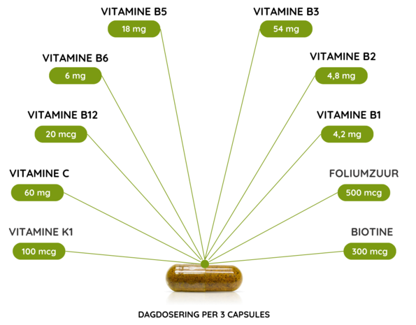 Natuurlijke vetverbrander - 90 Vcaps Natuurlijke vetverbrander - 90 Vcaps