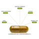 Over ons merk – Jouw partner in natuurlijke gezondheid. Garcinia Cambogia extract - 60 caps Over ons merk – Jouw partner in natuurlijke gezondheid. Garcinia Cambogia extract - 60 caps