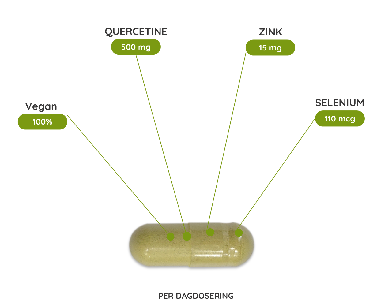 Quercetine Vitaal extract- 60 Vcaps Quercetine Vitaal extract- 60 Vcaps